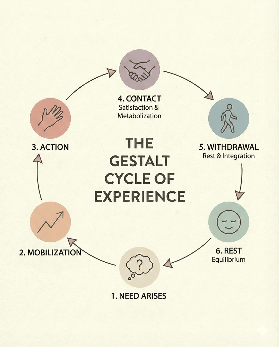 Where High-Achievers Get Stuck - Gestalt Cycle