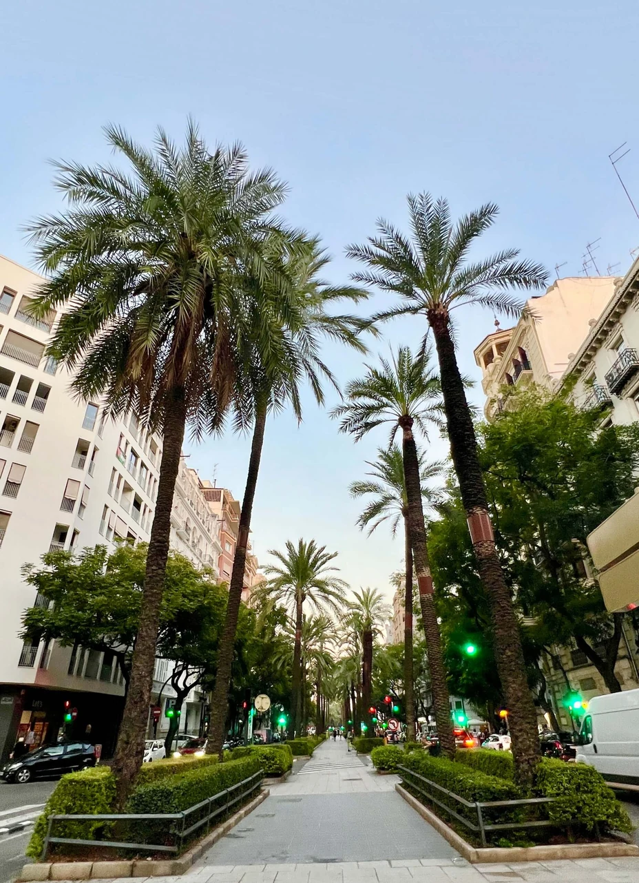 Integrative Gestalt Practice in Valencia
